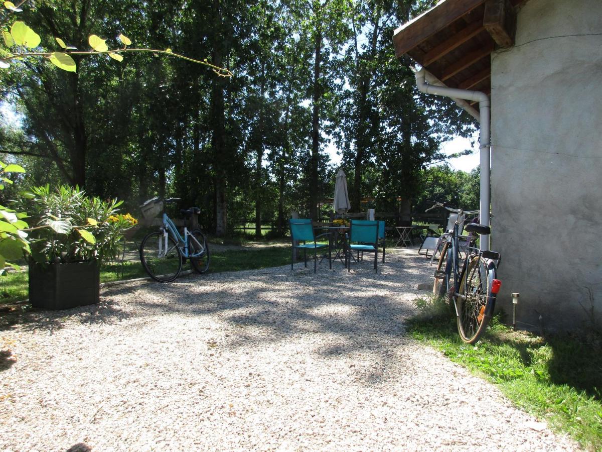 Espace Nature Studio Independant Proche Du Parc Des Oiseaux Sainte-Olive Ngoại thất bức ảnh
