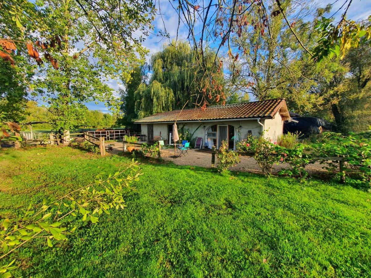 Espace Nature Studio Independant Proche Du Parc Des Oiseaux Sainte-Olive Ngoại thất bức ảnh